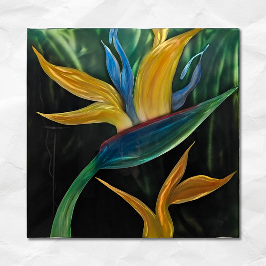 Bird Of Paradise