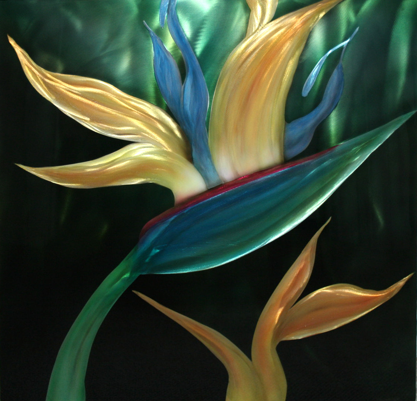 Bird Of Paradise