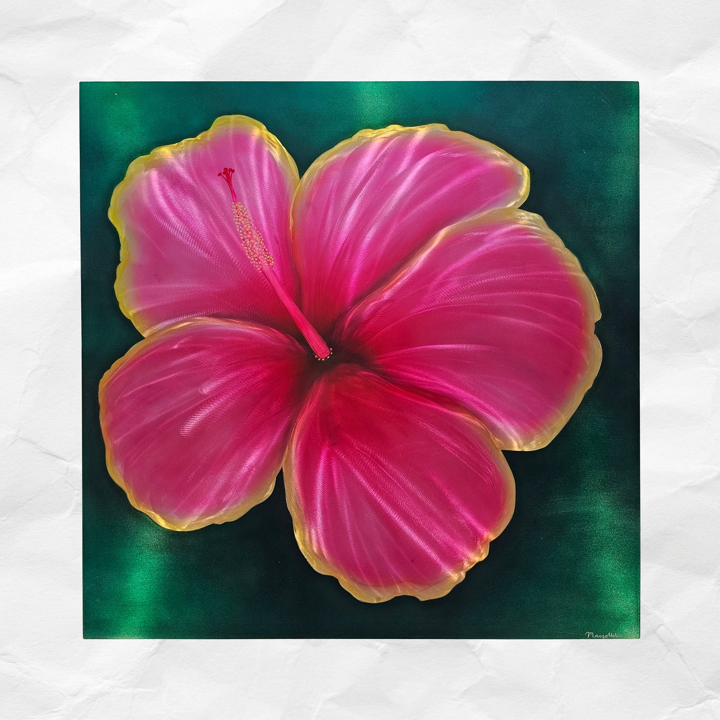 Hibiscus